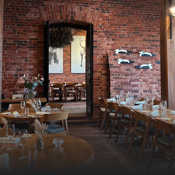 TX25_Wave03_UltimateExCarousel_04_600px