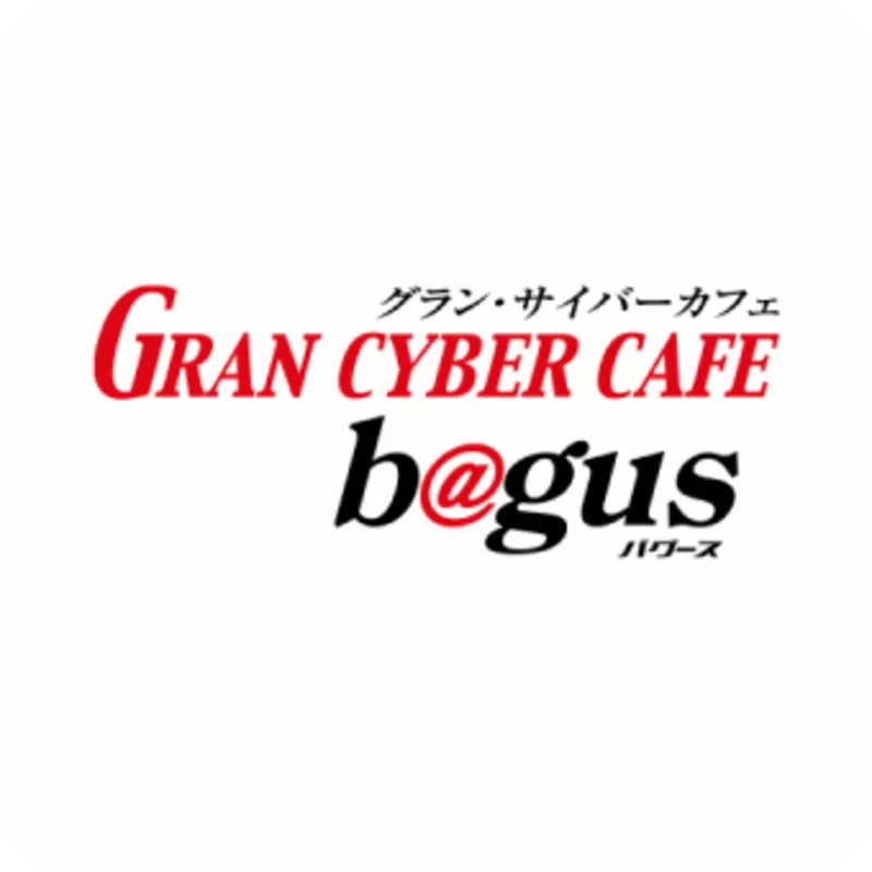 グランサイバー